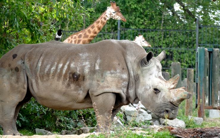 Zoologická zahrada v Ústí nad Labem. Foto: Oldřich Hájek