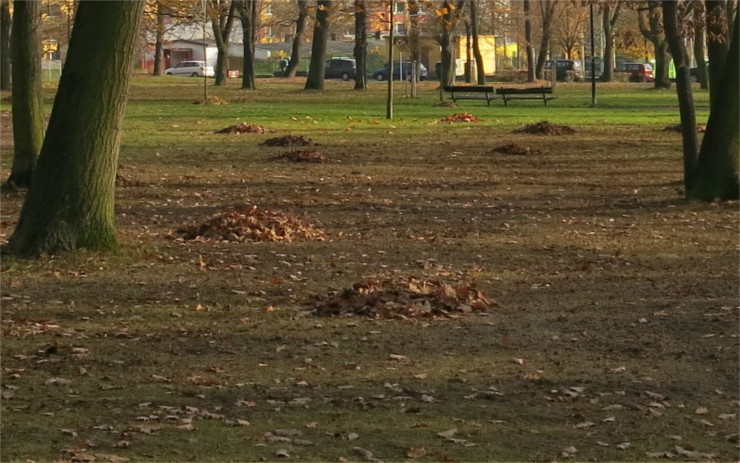 V sobotu vypukne celorepubliková akce Ukliďme Česko, již popáté se zapojí i Litoměřice