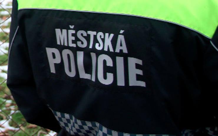 Městská policie v Lovosicích získala dotaci na výstroj a zakoupila nový informační systém