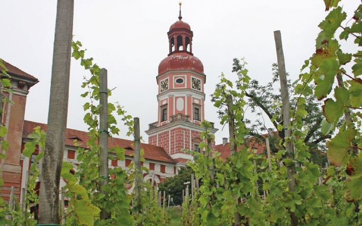 Jedinečná příležitost seznámit se s vinaři na Podřipsku: K vinným sklepům vás zavezou vínobusy
