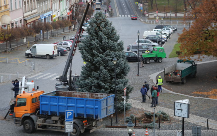 Na Karlově náměstí se první prosincovou neděli rozsvítí vánoční strom. Městu ho věnovali manželé, kteří ho sami sázeli