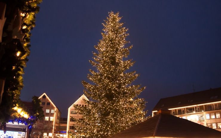 Vánoční strom se na Mírovém náměstí rozsvítí tento pátek, nenechte si ujít bohatý program