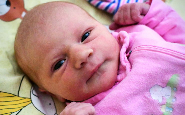 Prvním litoměřickým miminkem roku je holčička Karla. Narodila se 21 minut po půlnoci