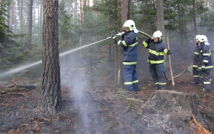 Rozsáhlý požár lesního porostu zaměstnal osm jednotek hasičů. Vyhlášen byl druhý stupeň poplachu