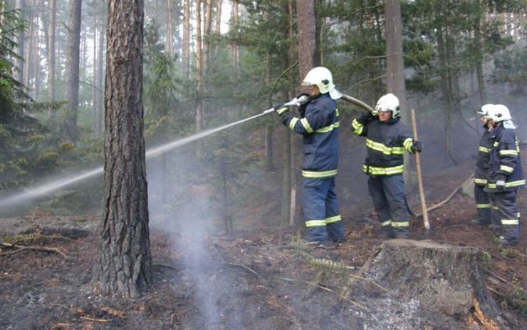 K požáru lesního porostu a hrabanky vyjížděly hned čtyři jednotky hasičů