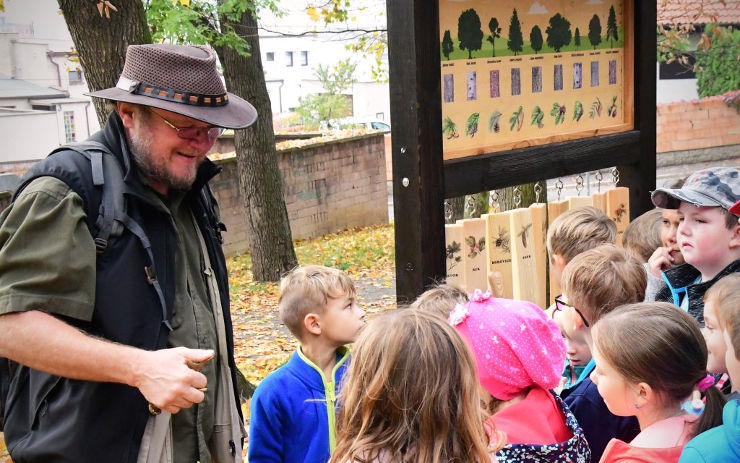 Zní každé dřevo jinak? Nový dendrofon na Mostné hoře naučí děti poznávat stromy