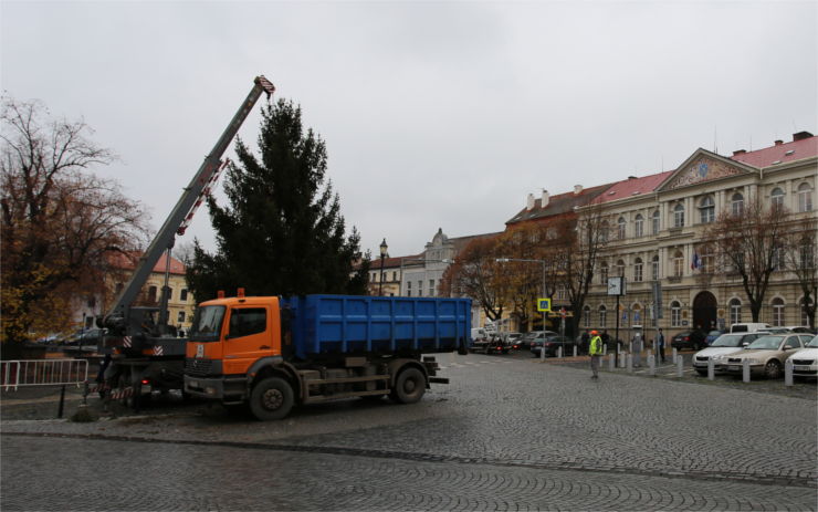Roudnický vánoční strom se rozsvítí už tuto neděli
