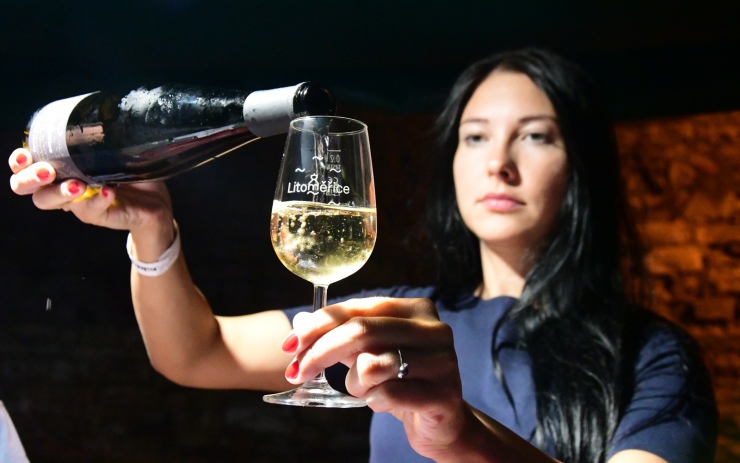 Milovníci vína si přišli na své: První Litoměřický hrozen pod širým nebem se vydařil