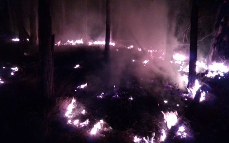 OBRAZEM: Hasiči v noci vyjížděli k požáru u Račic. Hořel travní porost