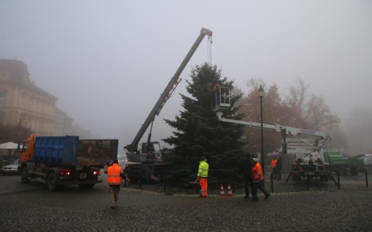 Karlovo náměstí zdobí od úterý vánoční strom. Rozsvítí se ale bez účasti veřejnosti
