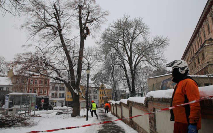 Ve městě probíhá kácení a prořezy stromů, omezí parkování v centru