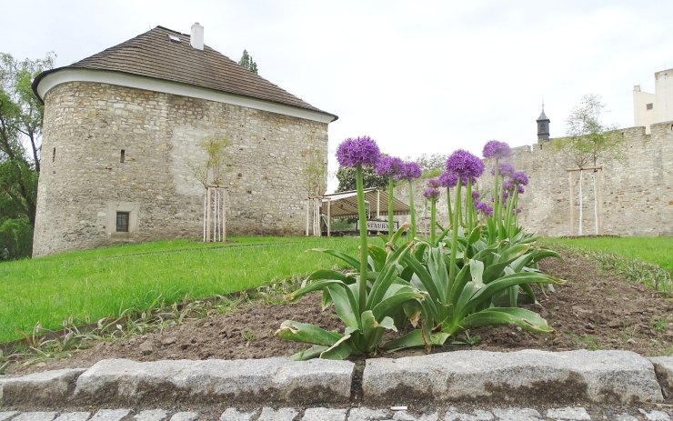 OBRAZEM: Mezibraní poprvé rozkvetlo do krásy. Vidět tu můžete krokusy, tulipány, modřence a okrasné česneky