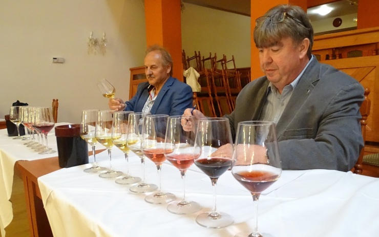 Vinařských Litoměřic se zúčastní vinaři z patnácti zemí, letošním šampionem je Rulandské bílé z jižní Moravy