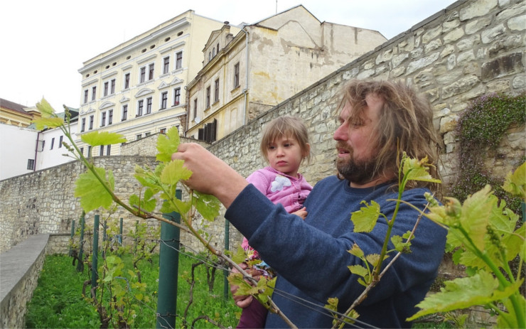 O vinice na parkánech se nově stará místní malovinař