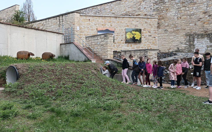 U bašty Baba v Litoměřicích je nová expozice o Českém středohoří. Zabydleli se tu koza i sysli