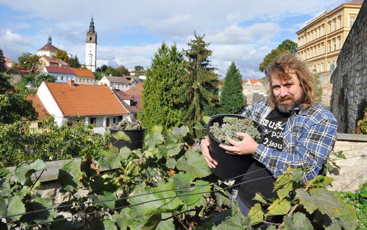 Vinice na parkánech vydaly úrodu, vyrobeno bude 17 raritních lahví vína