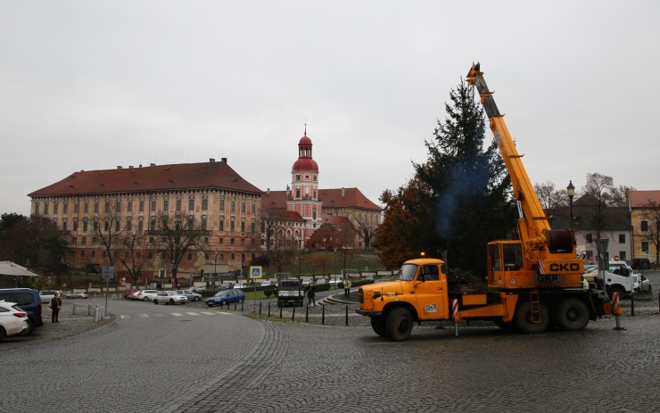 Na Karlově náměstí už stojí vánoční strom, věnovaly ho Ledčice