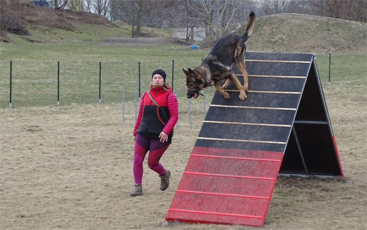 Na psím hřišti nad Pokraticemi přibyly nové prvky pro agility, pejskaři si hřiště oblíbili