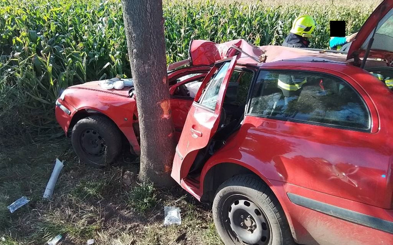Auto u Libochovic skončilo bokem ve stromě, uvnitř zůstal zaklíněný řidič
