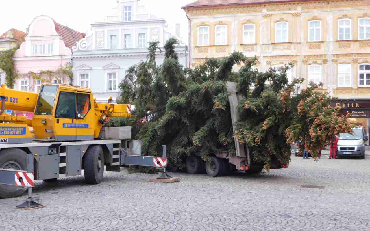 Dva vánoční stromy míří do Žatce. Řidiče čeká dopravní omezení hned v několika ulicích