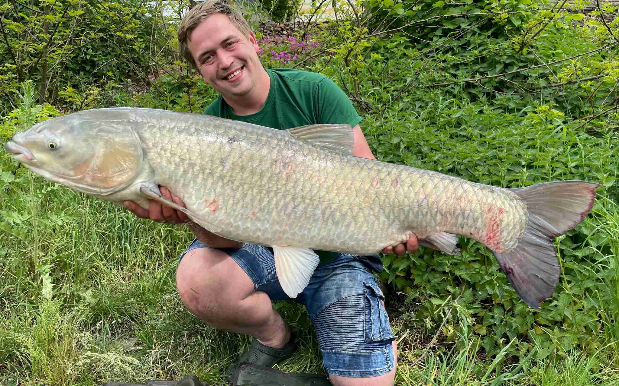 FOTO: Trofejní ryba v řece Labi! Rybář chytil více než dvacetikilového amura