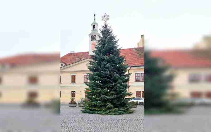 Louny už mají svůj vánoční strom, je z Líšťan