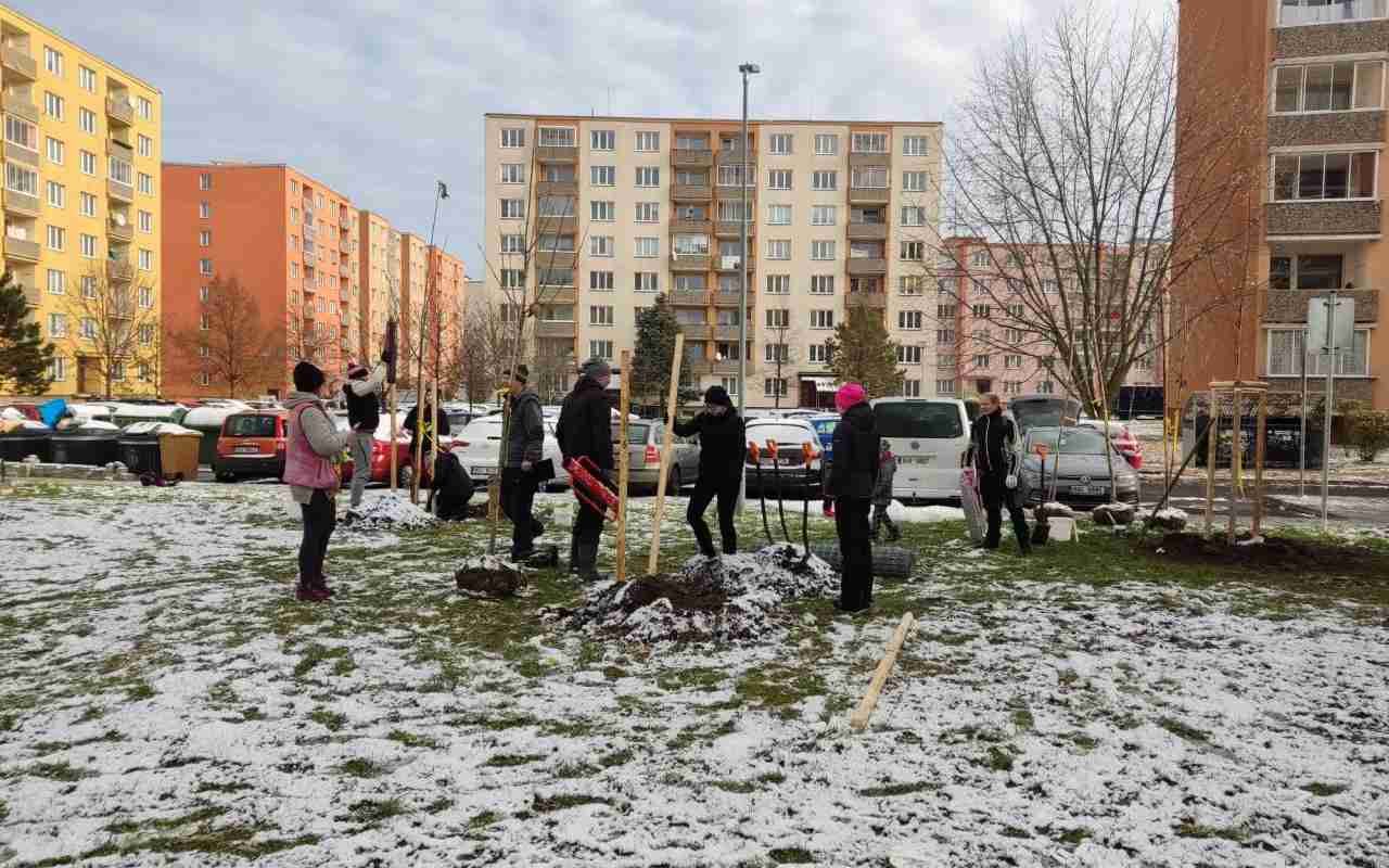 Dobrovolníci vysázeli na sídlišti Jih v Žatci desítky nových stromů