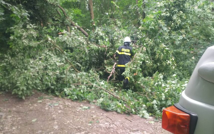 V Žiželicích spadl po bouřce strom. Hasiči ho museli rozřezat