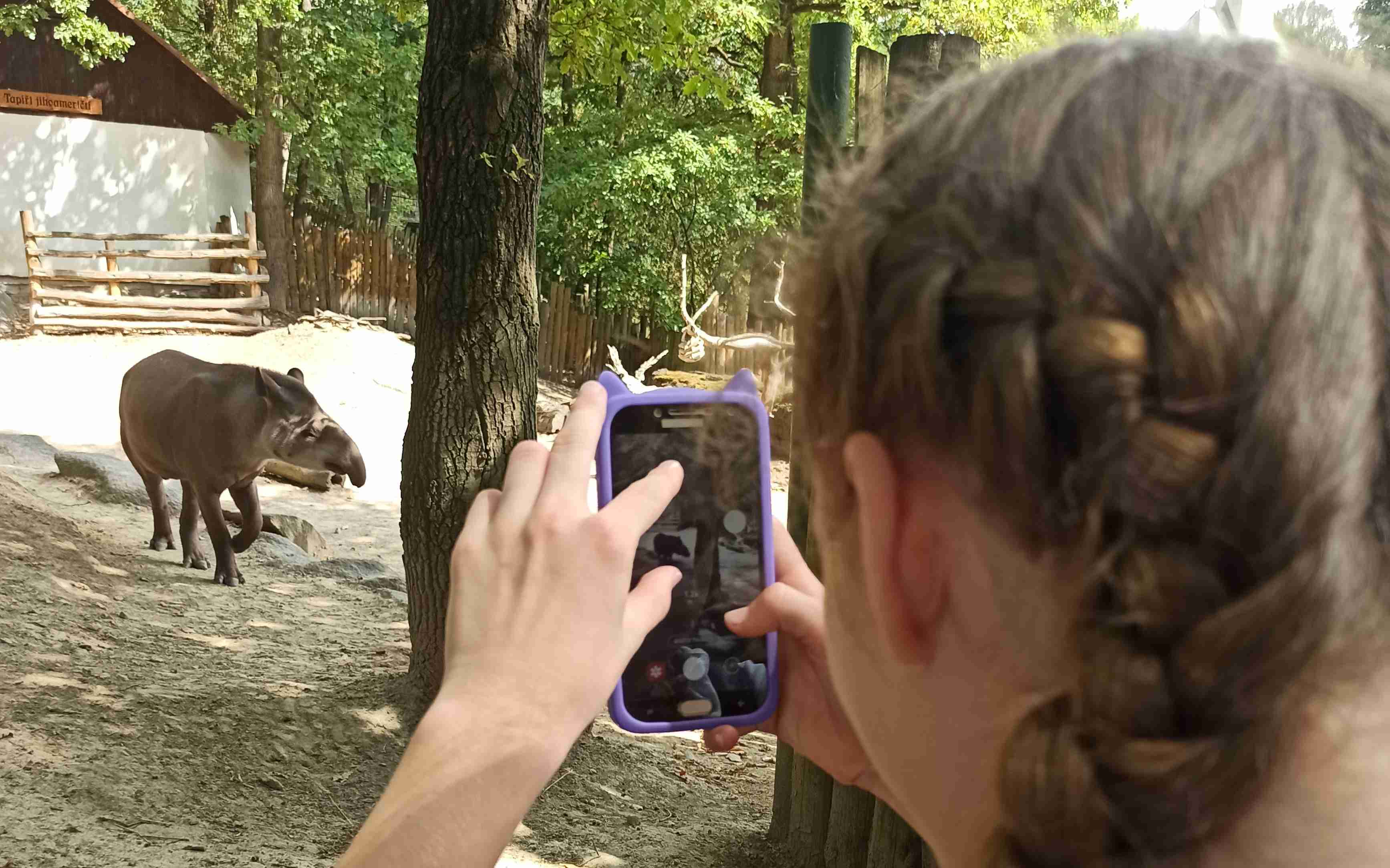 Děčínská zoo má dárek pro školáky za vysvědčení. V pátek mají vstup zdarma!