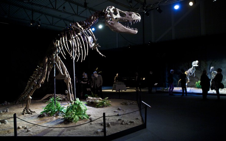 Foto: www.dinosaurium.cz