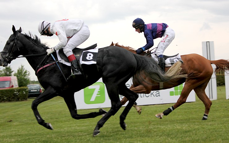 Most čeká vrchol dostihové sezóny. Foto: Oldřich Hájek