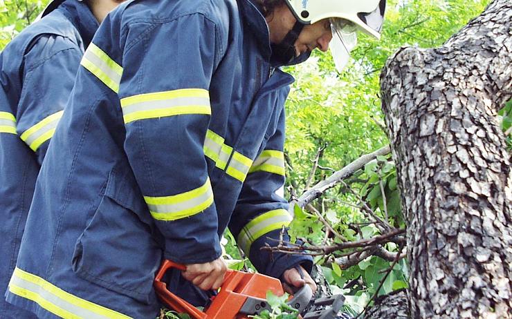 Zásah hasičů u spadlého stromu. Ilustrační foto