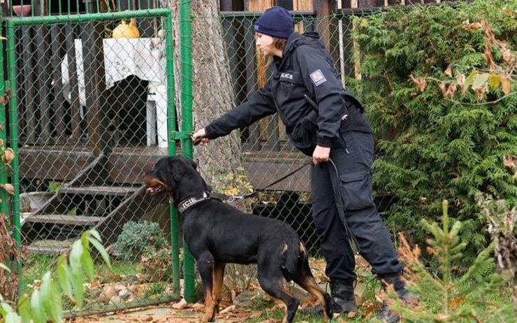 Policistka se psem na kontrole jedné z chat. Foto: Policie ČR
