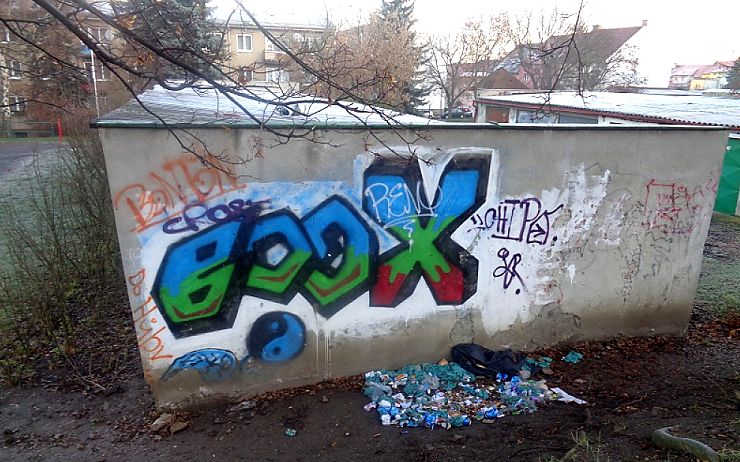 Zjištěný nepořádek. Foto: MP Louny