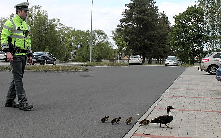 Policejní doprovod k vodě. Foto: Policie ČR