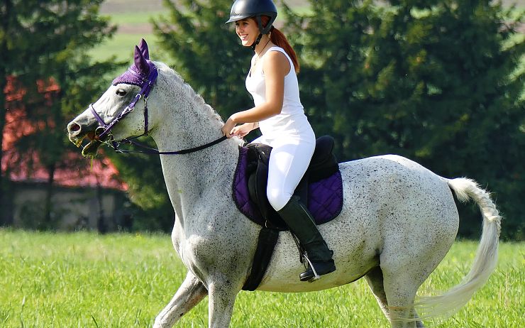 Nádherné podzimní počasí provázelo Hubertovu jízdu v Podsedicích na Litoměřicku. Foto: Oldřich Hájek Nádherné podzimní počasí provázelo Hubertovu jízdu v Podsedicích na Litoměřicku. Foto: Oldřich Hájek