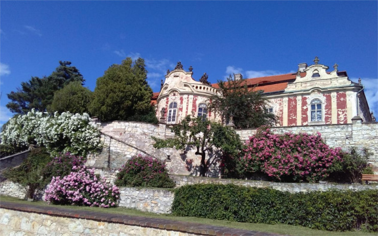 Na zámku Stekník můžete obdivovat historické růže, chystá se víkend otevřených zahrad