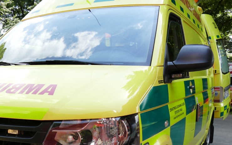 Ženu v Žatci napadli psi z cirkusu, musela do nemocnice