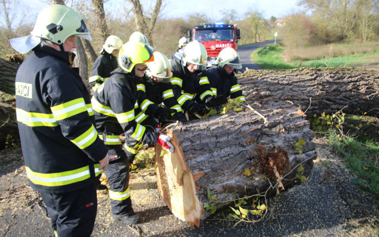 OBRAZEM: Přes silnici u Selibic se zřítil tento obří strom