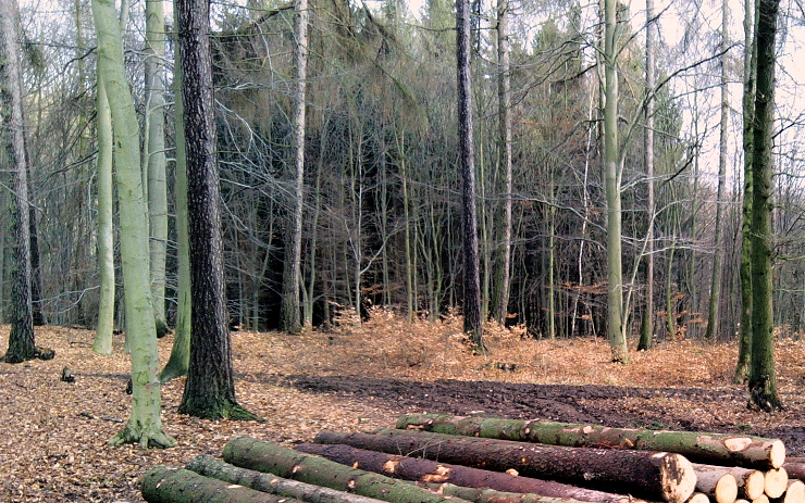 Venku je zima, ale turistům to nevadí: v sobotu se zahřejí na pochodu