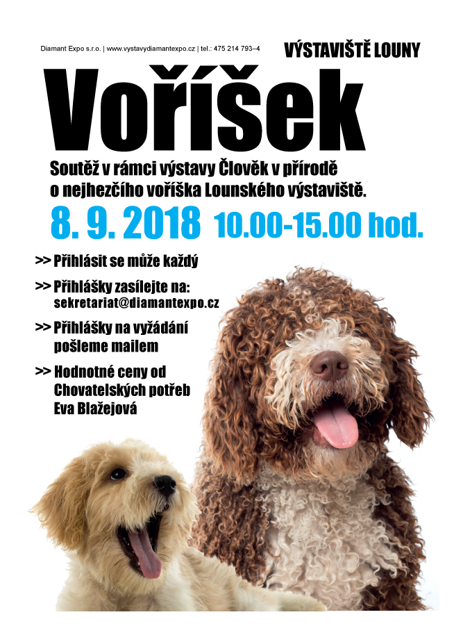 0409vorisek