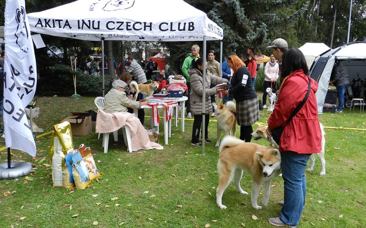 Výstaviště v Lounech představí výstavu Člověk v přírodě. Bude se soutěžit o nejhezčího voříška