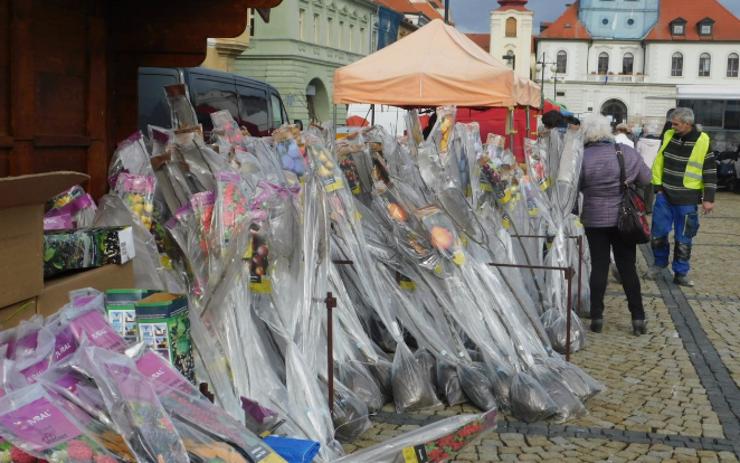 Jaro klepe na dveře. Farmářský trh na náměstí nabízí sazenice květin a stromů