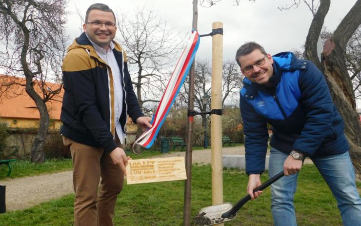 Ústecký kraj daroval městu Žatec lípu k výročí 100 let Československa