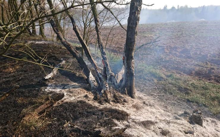 VIDEO: Tři hasičské jednotky likvidovaly požár lesa podél železniční trati na Žatecku