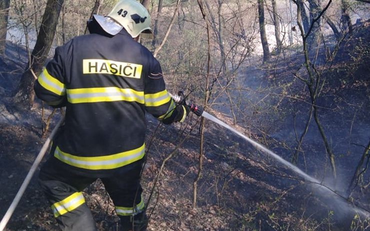 V lese vedle železniční tratě na Žatecku hořelo, hasiče zaměstnávalo hned několik ohnisek požáru