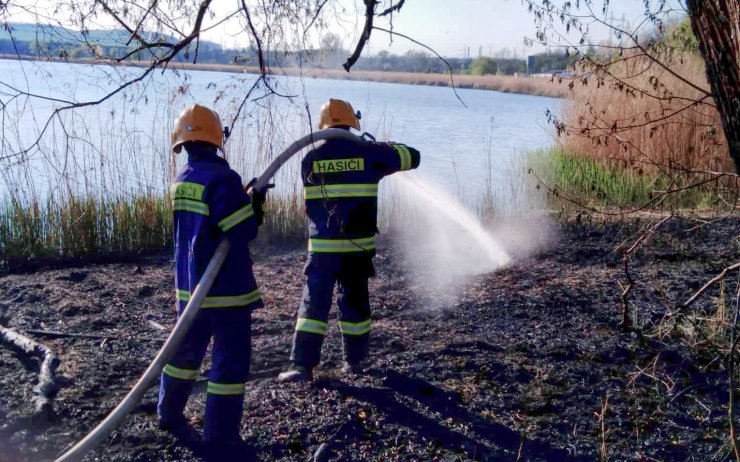 Požár u rybníka v Lenešicích! Včasný zásah hasičů zabránil větším škodám