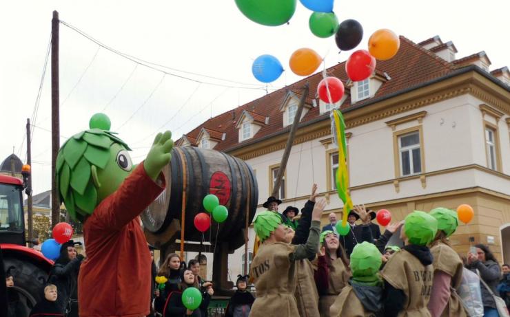 Chmelmarši počasí přálo. Potěší příroda pěstitele i v dalších měsících?