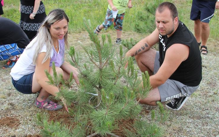 OBRAZEM: Zaměstnanci Aisanu si se svými dětmi vylepšili novými stromky okolí pracoviště