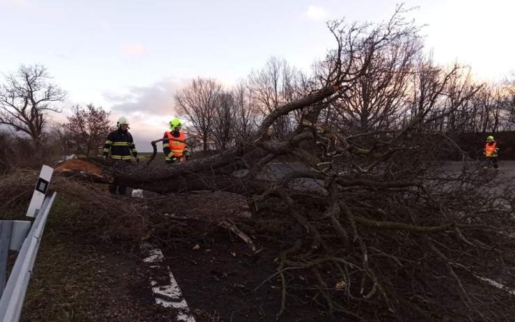Tohle způsobil vítr: Padlý strom zatarasil silnici na Žatecku, hasiči ho museli rozřezat